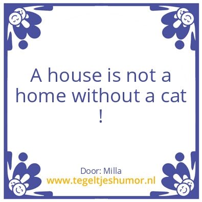 Tegeltje: A cat