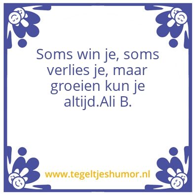 Tegeltje: Ali B