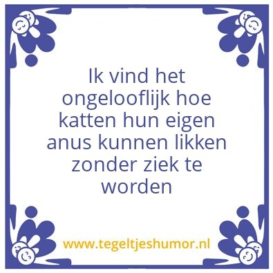 Tegeltje: Test