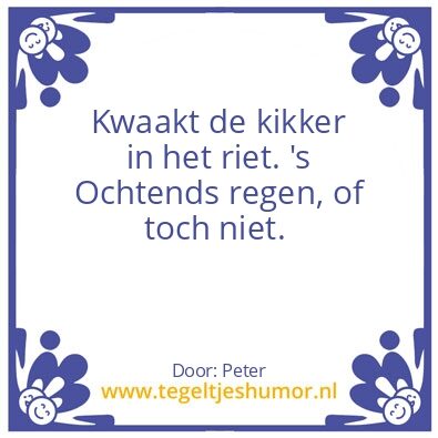Tegeltje: Ouderwets weerfeitje