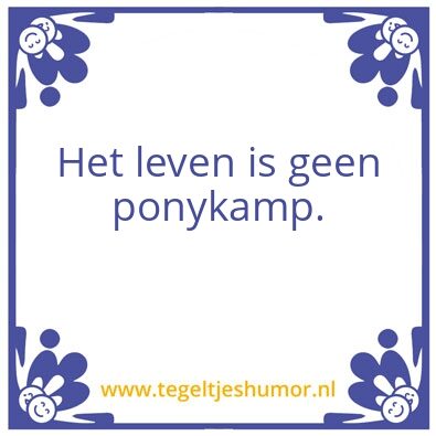 Tegeltje: Ponykamp