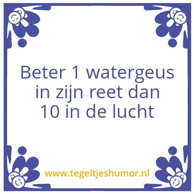 Tegeltje: De watergeuzen gate