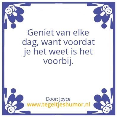 Tegeltje: Het Leven..