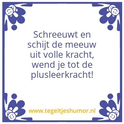 Tegeltje: Moo