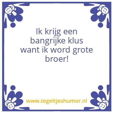 Tegeltje: Klus