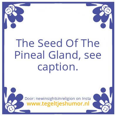 Tegeltje: The Seed Of The Pineal Gland,