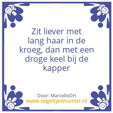 Tegeltje: Lang haar