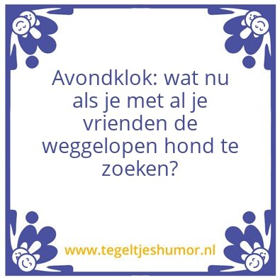 Tegeltje: Hond kwijt