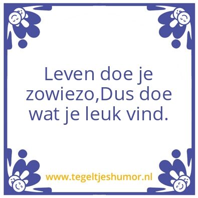 Tegeltje: plezier