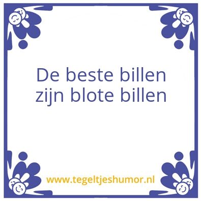 Tegeltje: Wijsheid van Lemmerik