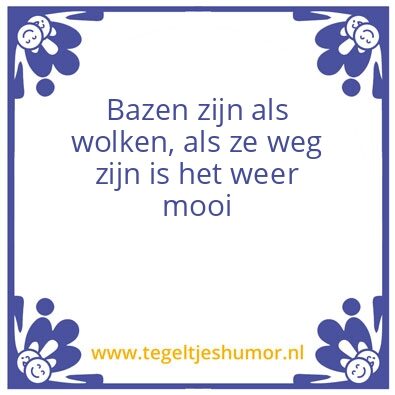 Tegeltje: Bazen