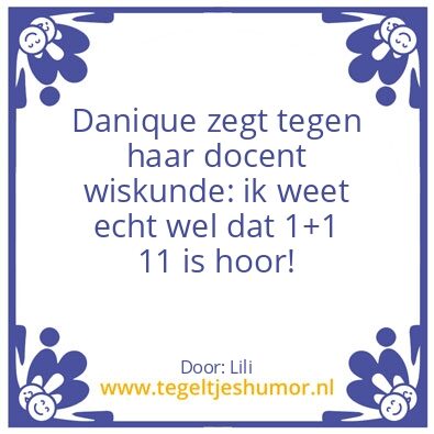 Tegeltje: Danique humor