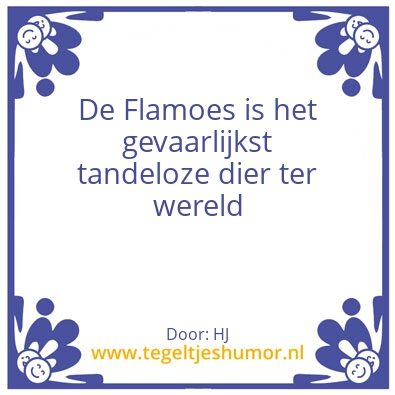 Tegeltje: Flamoes