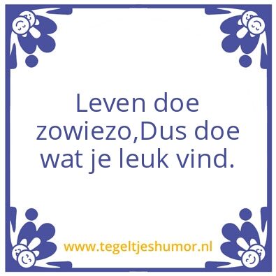 Tegeltje: plezier
