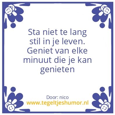 Tegeltje: leven