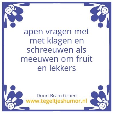 Tegeltje: Meeuwen