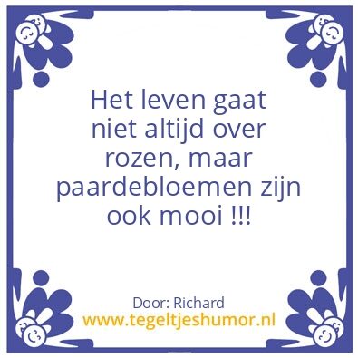 Tegeltje: Paardebloemen