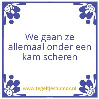 Tegeltje: Brunswijk