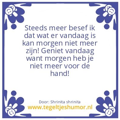 Tegeltje: Realiteit
