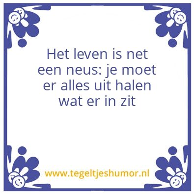 Tegeltje: Neus