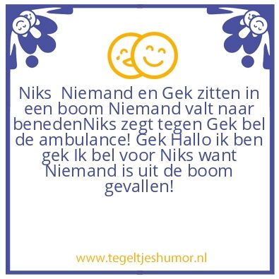 Tegeltje: niks niemand gek