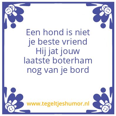 Tegeltje: De hond je beste vriend?