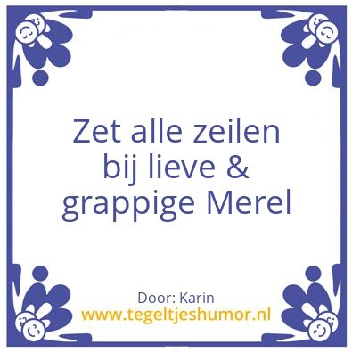 Tegeltje: Merel kiest het ruime sop