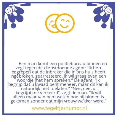 Tegeltje: Inbreker gearresteerd