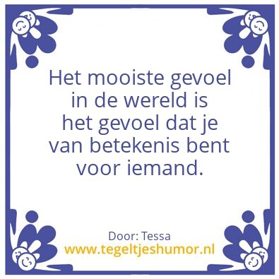 Tegeltje: Thijs