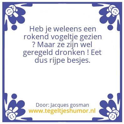 Tegeltje: Vogeltjes