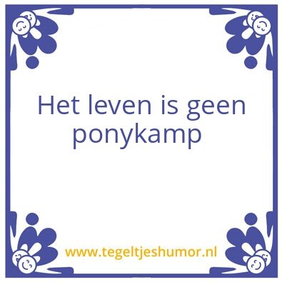 Tegeltje: Ponykamp