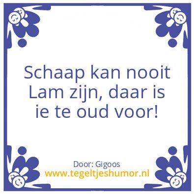 Tegeltje: een lam Schaap
