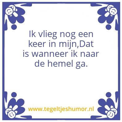 Tegeltje: Vliegen