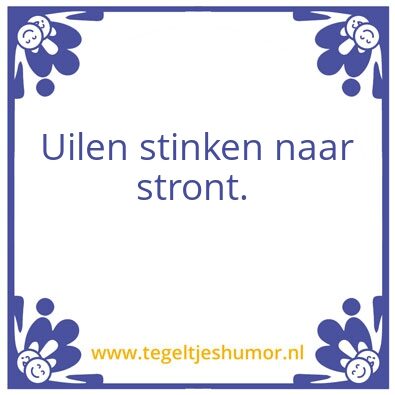Tegeltje: Uilen