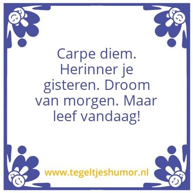 Tegeltje: Carpe diem