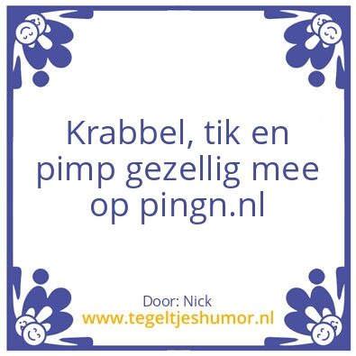 Tegeltje: Ping’n