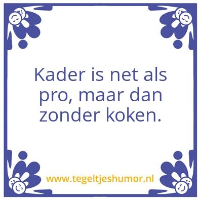 Tegeltje: de tyfus
