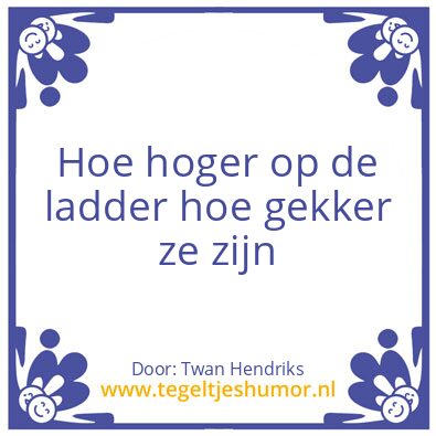 Tegeltje: De ladder