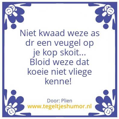 Tegeltje: Wees bloid