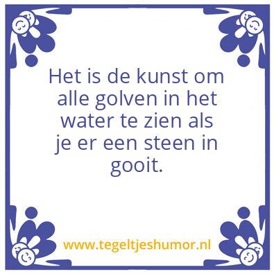 Tegeltje: Steen in.het water