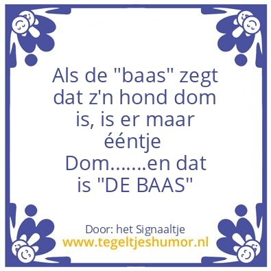 Tegeltje: “DOM”