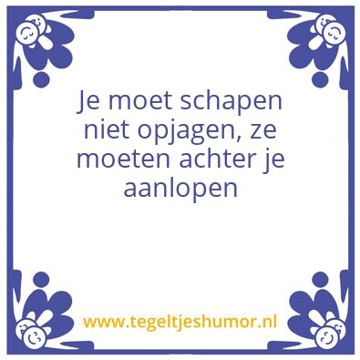Tegeltje: mentor van het jaar