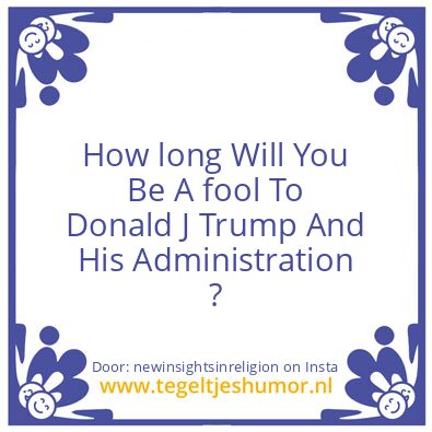 Tegeltje: you’re an fool to Donald.