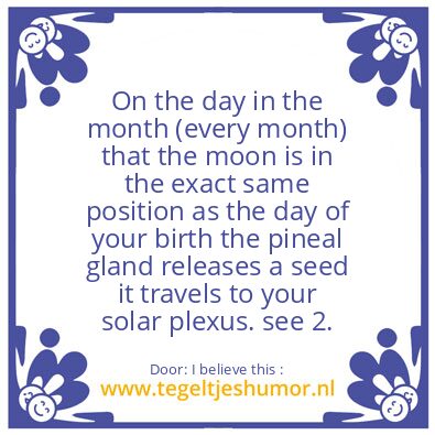 Tegeltje: The Seed of the Pineal Gland