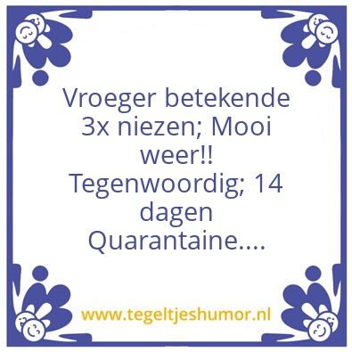 Tegeltje: Niesschaamte
