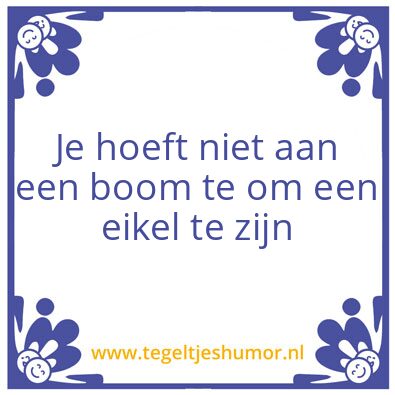 Tegeltje: Tegelwijsheid