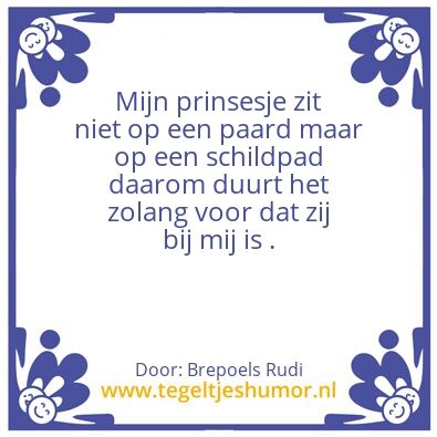 Tegeltje: Mijn prinsesje