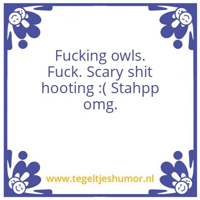 Tegeltje: Owls