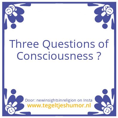 Tegeltje: Questions of Consciousnes ..