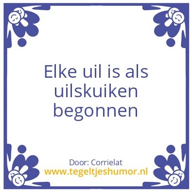 Tegeltje: Wijsheid
